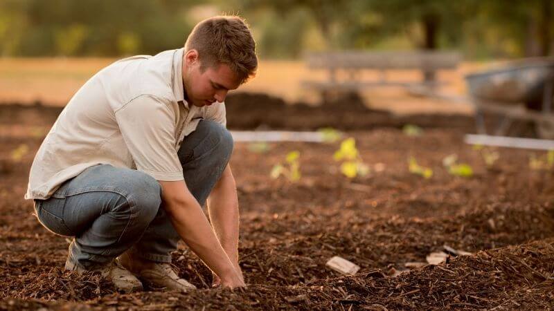 Farmer - Fertilizer Industry (1)